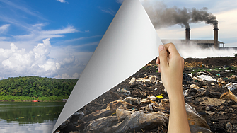 ЕК добави българското саламурено сирене в списъка със защитени наименования за произход