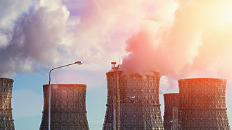 МАЕ: Събирането на дърва и въглища за готвене унищожава годишно гори с размерите на Ирландия