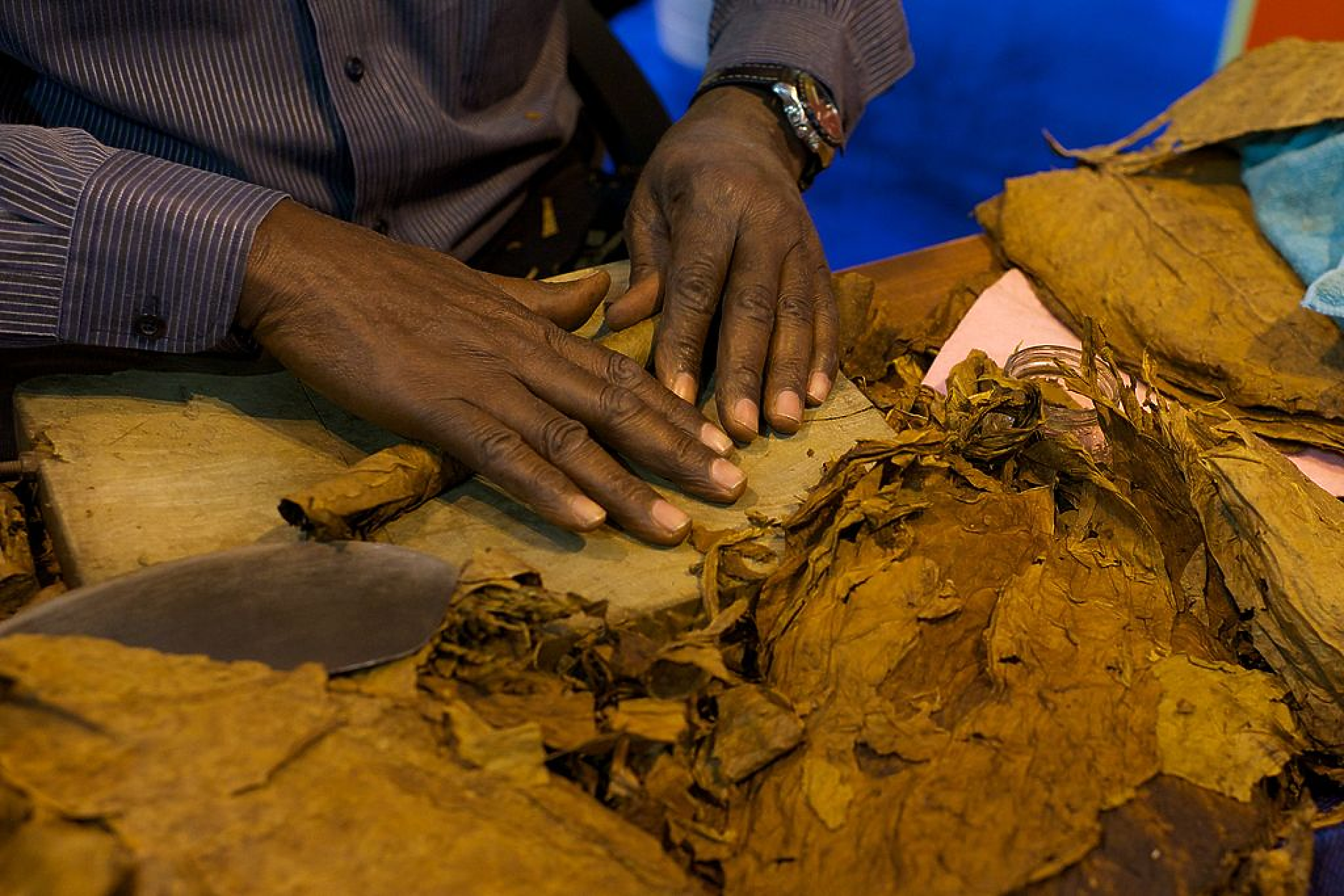 Куба отложи годишния си панаир на пури поради недостиг на гориво