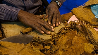 Куба ще отложи световноизвестния си годишен панаир на пури тази