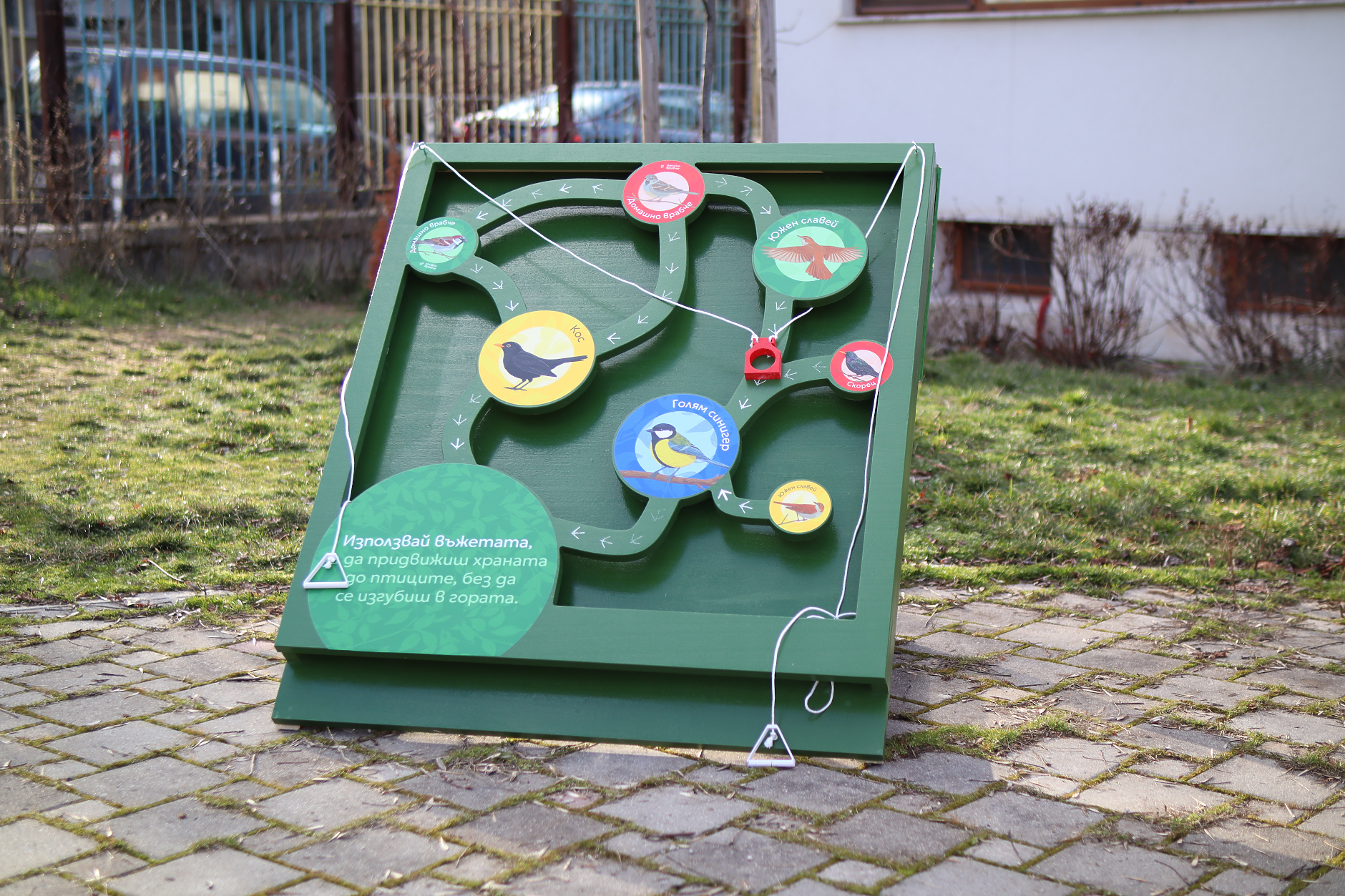 Нова интерактивна площадка насърчава децата да опознават птиците на София