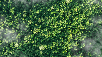 Горите се променят бързо и учените са дълбоко загрижени