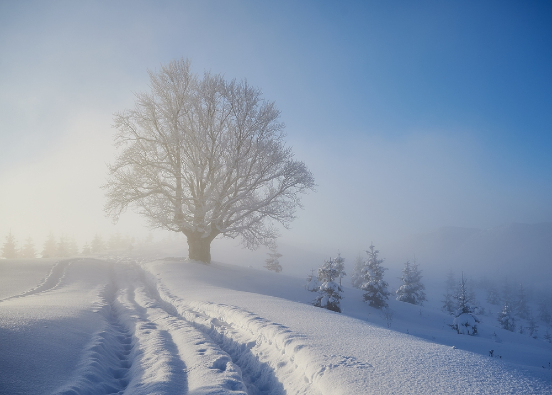Времето: Облачно, на места и с мъгли. Жълт код за ниски температури в 7 области