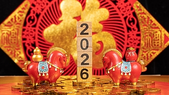 В забързания начин на живот често си казваме Ако можеше