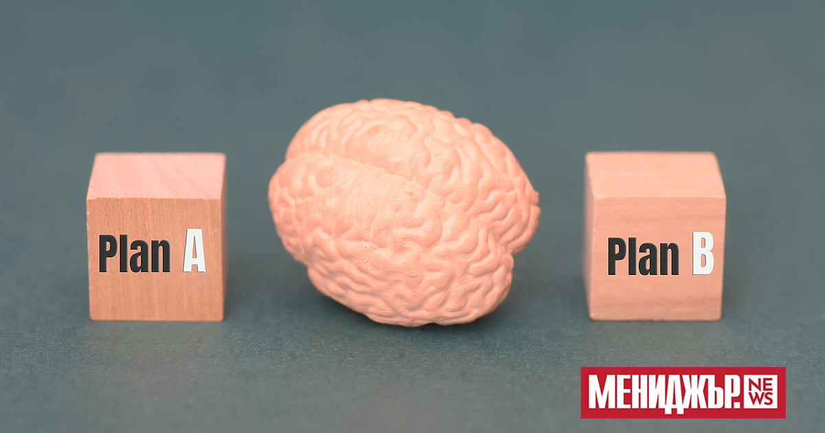 Модерно е да се говори за идеи, проекти, концепции за