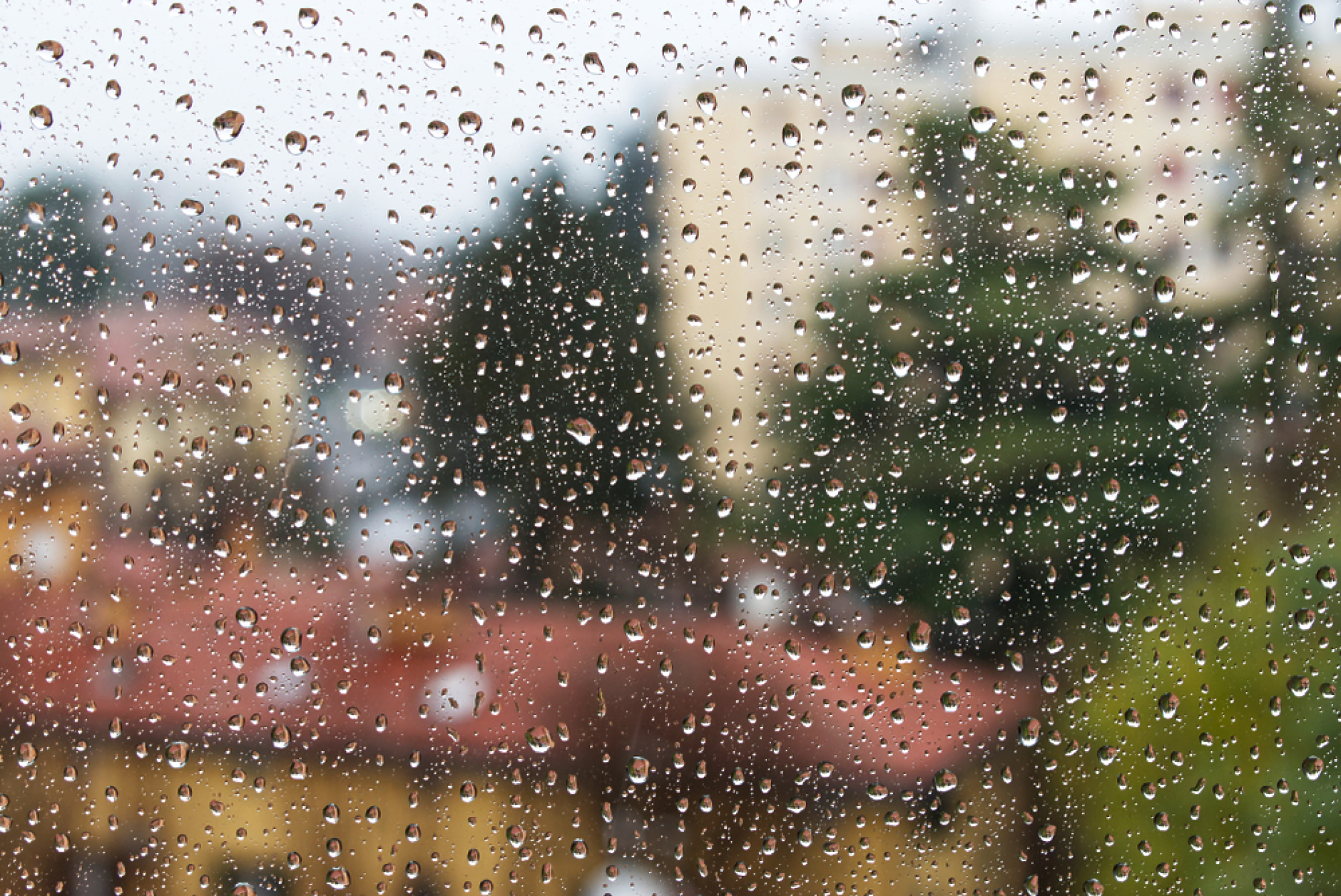 Времето: Облачно със следобедни валежи