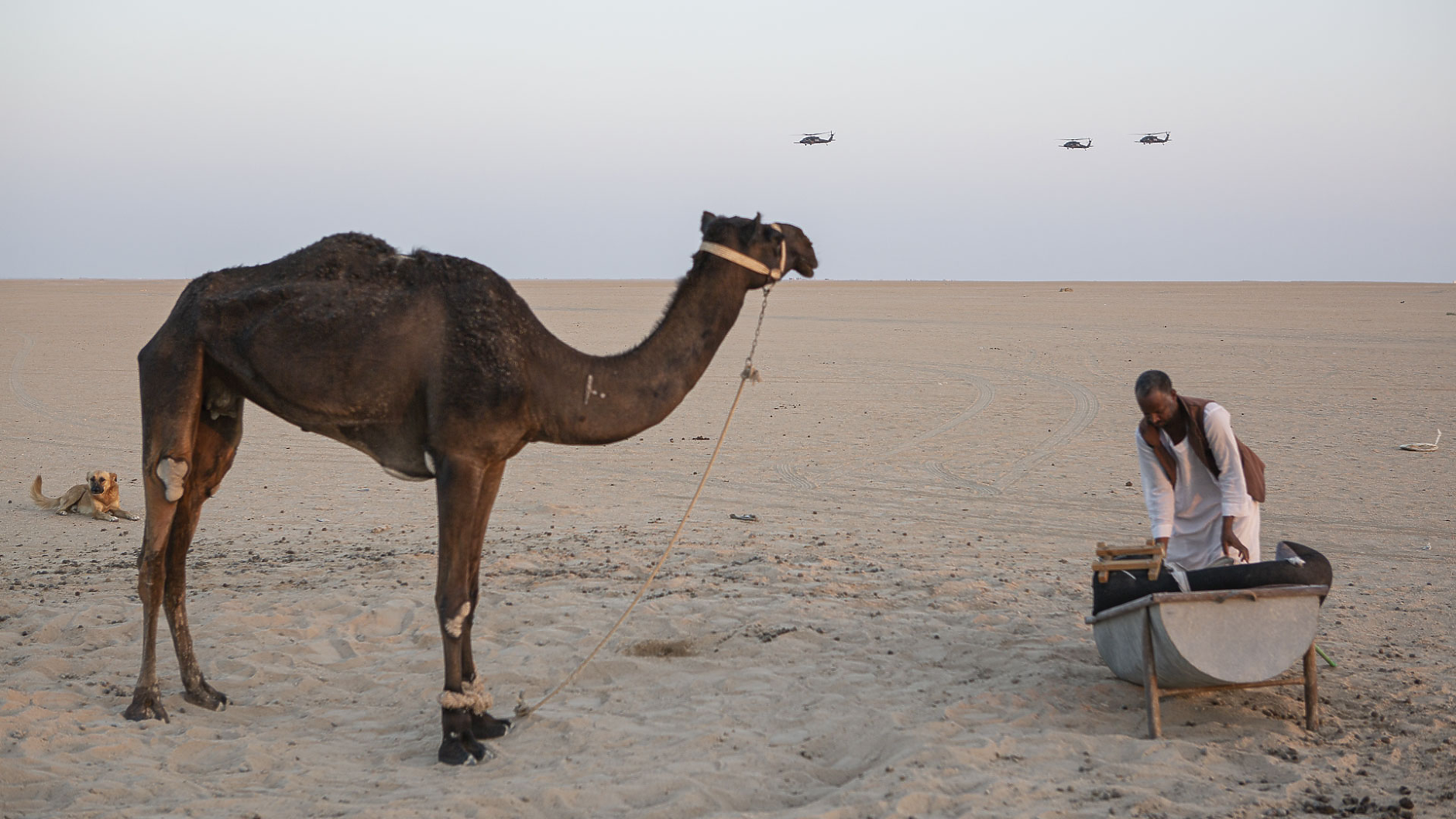 Политика за бисквитки