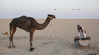 Странният случай „Борд за мир“