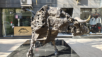 H&M съкращава 1500 работни места