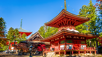 Непознатата Япония 