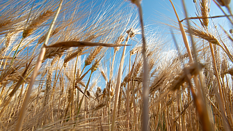 ЕЦБ: Фирмите в еврозоната остават оптимистично настроени, но усещат въздействието на търговското напрежение