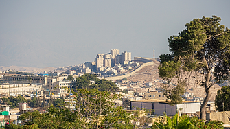 Без маслини и зехтин от Халкидики заради климатичните промени