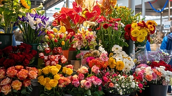 Киргизстан е изнесъл 17 тона цветя от началото на годината