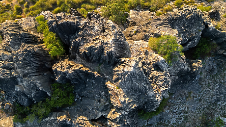 Фосили от Австралия разкриват забравени морски хищници
