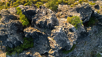 Треска за злато ...на Луната
