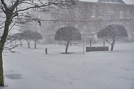 Рекорден снеговалеж блокира източното крайбрежие на САЩ: над 5 000 полета отменени