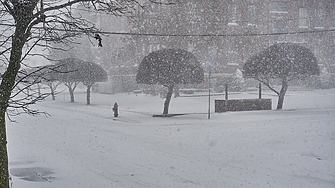 Рекорден снеговалеж блокира източното крайбрежие на САЩ: над 5 000 полета отменени