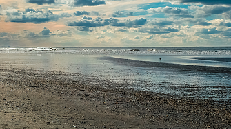 Четири са номинациите за тричленната Антикорупционна комисия