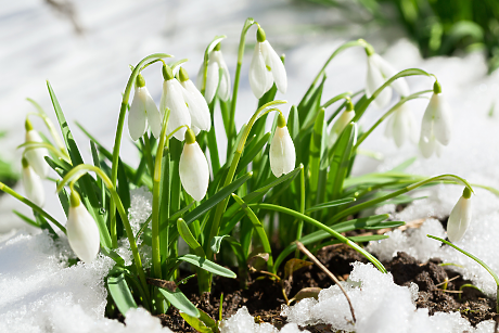 Времето: Слънчево с температури до 12 градуса
