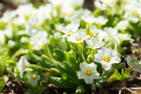 Времето: Слънчево и топло, но следобед ще се заоблачи