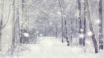 През следващото денонощие времето в страната ще е облачно на