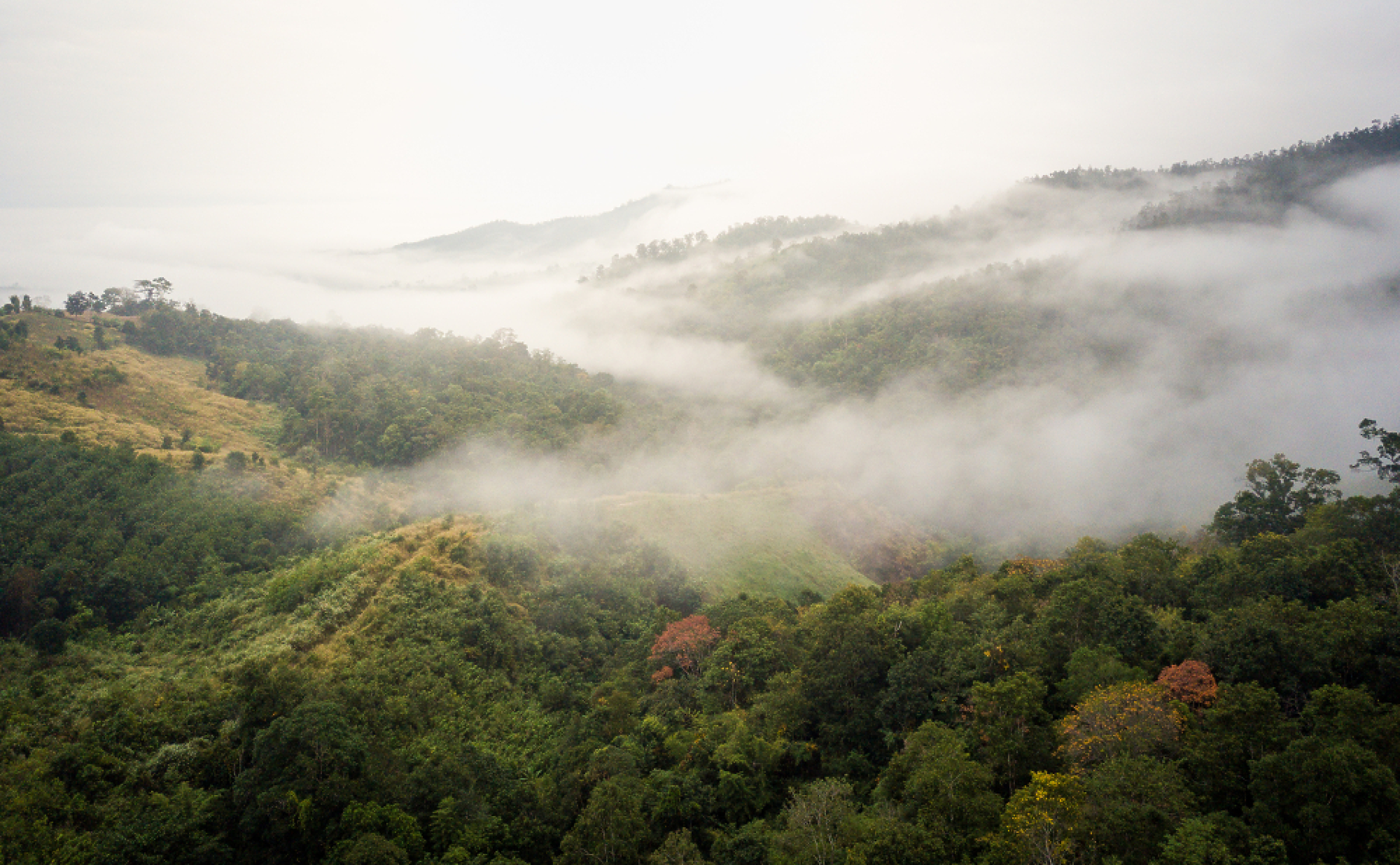 Времето: Сутринта - мъгли, после пак ще е слънчево