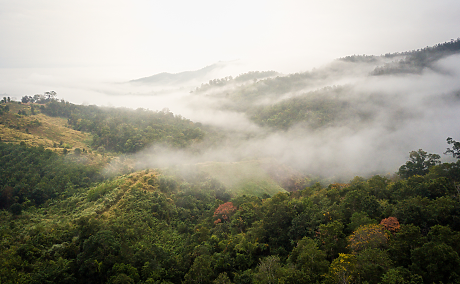 Времето: Сутринта - мъгли, после пак ще е слънчево