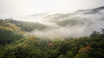 Времето: Сутринта - мъгли, после пак ще е слънчево