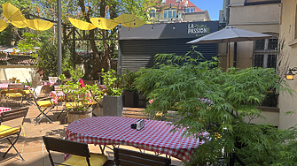 Холандски музей потвърди: открита е неизвестна картина на Рембранд