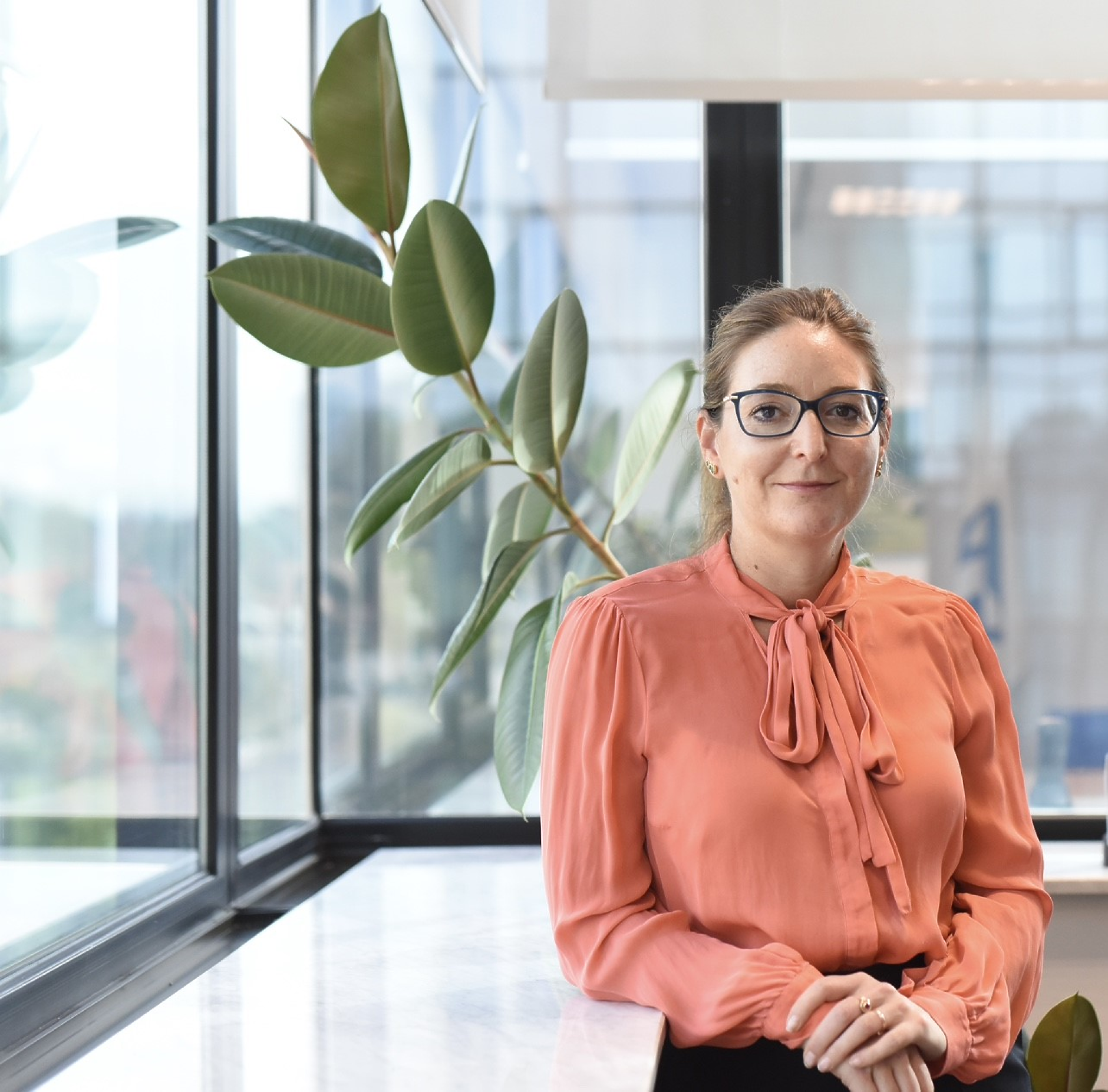 Предпазливо оптимистични 