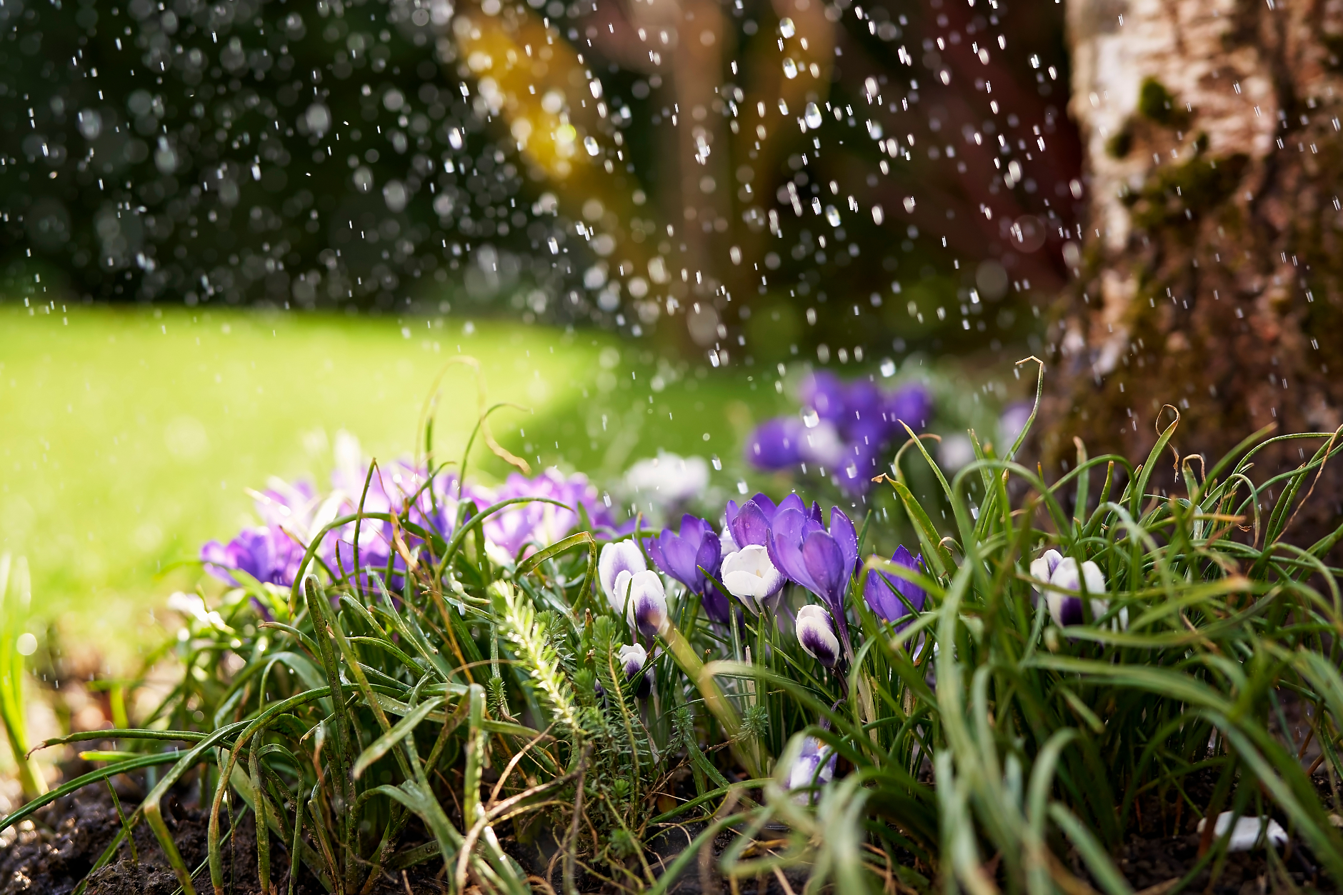 Времето в четвъртък: Облачно с краткотрайни превалявания