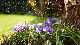В пощенските станции на още девет населени места ще се обменят левове в евро