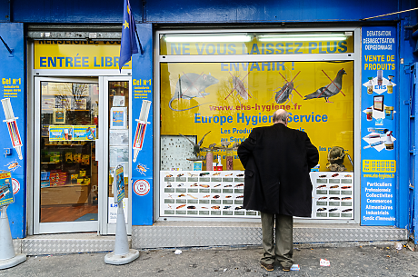 Френските плъхове влязоха в предизборната надпревара за кмет на Париж