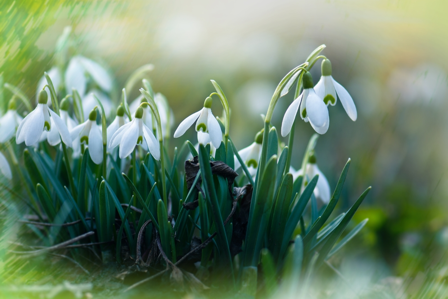 Времето: Предимно слънчево, тихо и с приятни температури