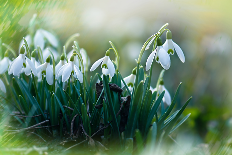 Времето: Предимно слънчево, тихо и с приятни температури