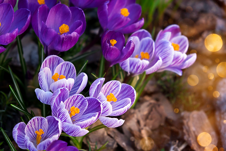 Времето през уикенда: Слънчево с температури до 17°
