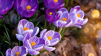 Времето през уикенда: Слънчево с температури до 17°