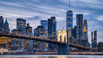 Най-старата мъжка гигантска панда в света почина с евтаназия на 35 г.