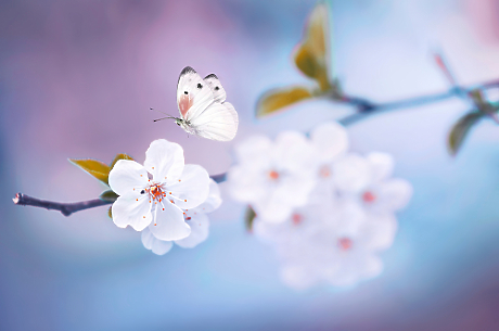 Началото на седмицата ни посреща с облачно време