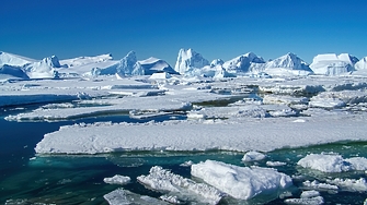 Антарктически микроби оцеляват при екстремни температурни амплитуди