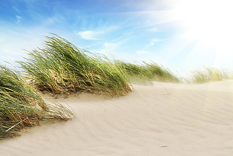 Времето: Ветровито с температури до 18 градуса