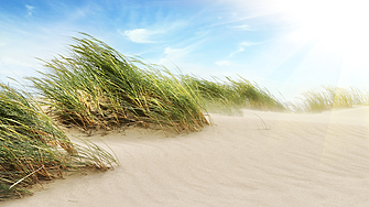 Велислава Делчева: Омбудсманът няма място в домовата книга, но е въпрос и на личен избор