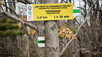 T-Mobile купува Mint Mobile на актьора Райън Рейнолдс