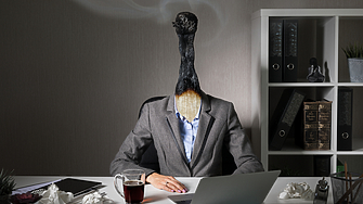 Бърнаутът сред мениджърите разрушава екипите. Как да му противодействате? 