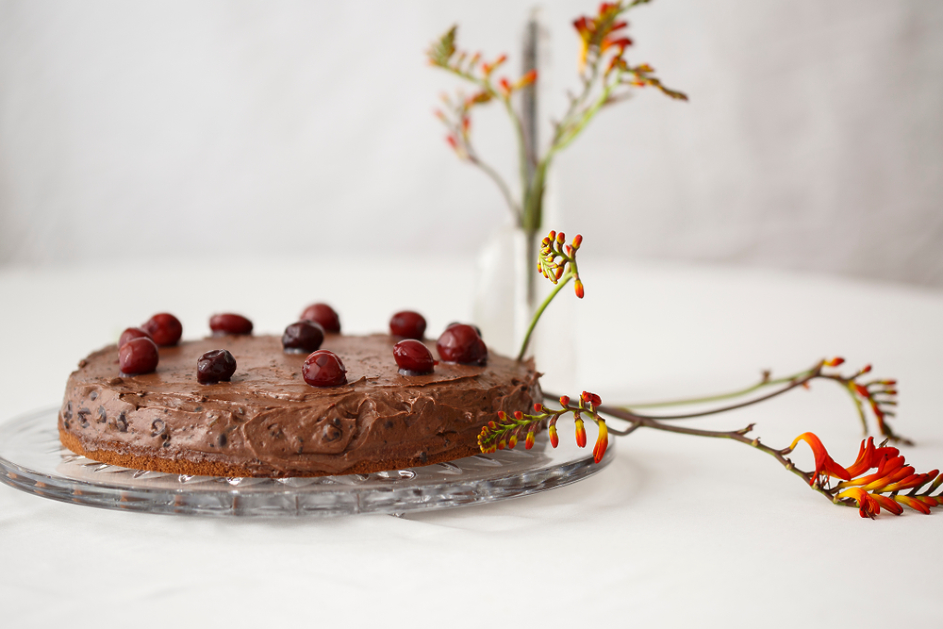 Тортата „Жофр“: как един десерт се превръща в символ на дипломацията в Румъния