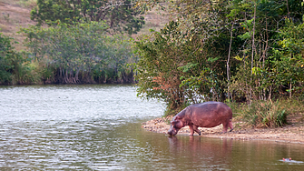 Иран: Ще запалим всеки кораб, който се опитва да изнася петрол през Ормузкия проток