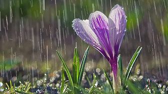 Времето в неделя: Слънчево сутринта, валежи следобед