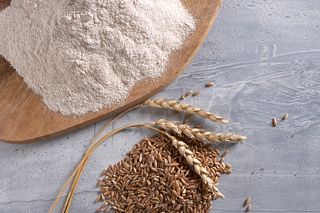 Завръщането на древните семена: Наистина ли лимецът и спелтата са по-полезни от пшеницата и царевицата?