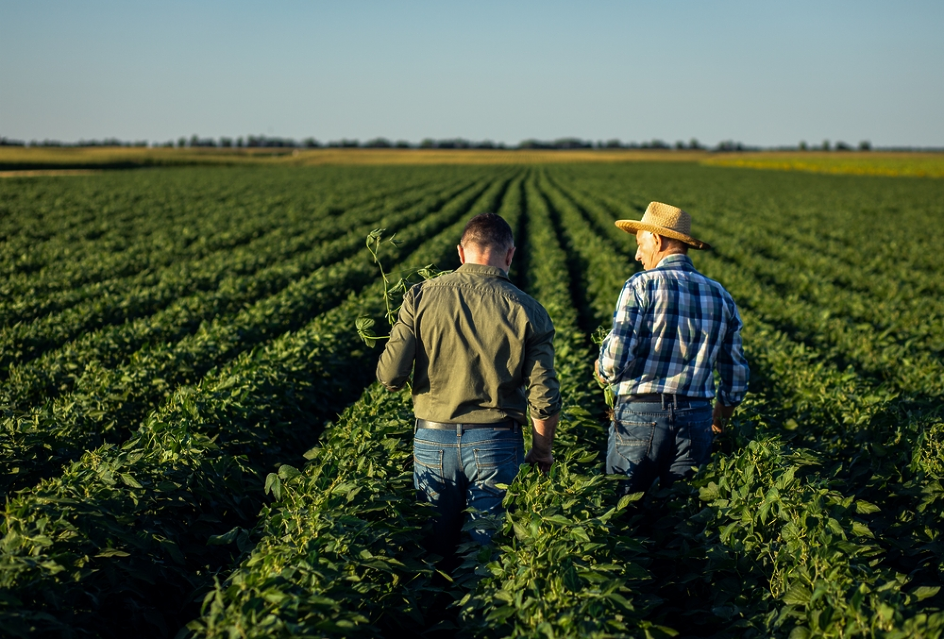 Българският фермерски съюз предупреждава за риск от прекратяване на членството на България в „Копа-Коджека“ 