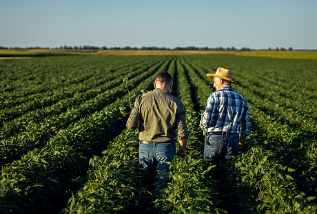 Българският фермерски съюз предупреждава за риск от прекратяване на членството на България в „Копа-Коджека“ 